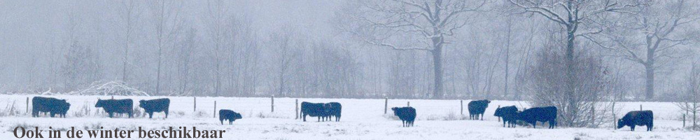 Hele jaar open Eco-touristfarm de biezen