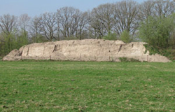 oeverzwaluwwand eco-touristfarm de biezen