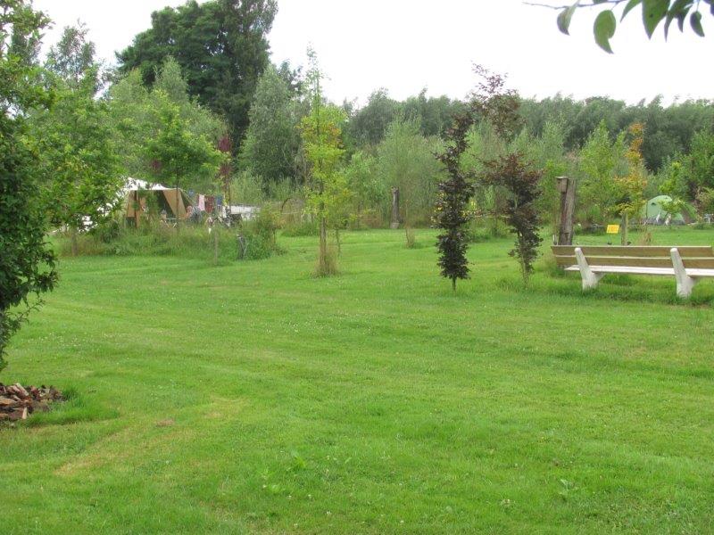 Bloemrijk natuurkampeerterrein eco-touristfarm de biezen aarle-rixtel