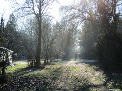 Prijzen natuurkampeerterrein eco-touristfarm de biezen aarle-rixtel