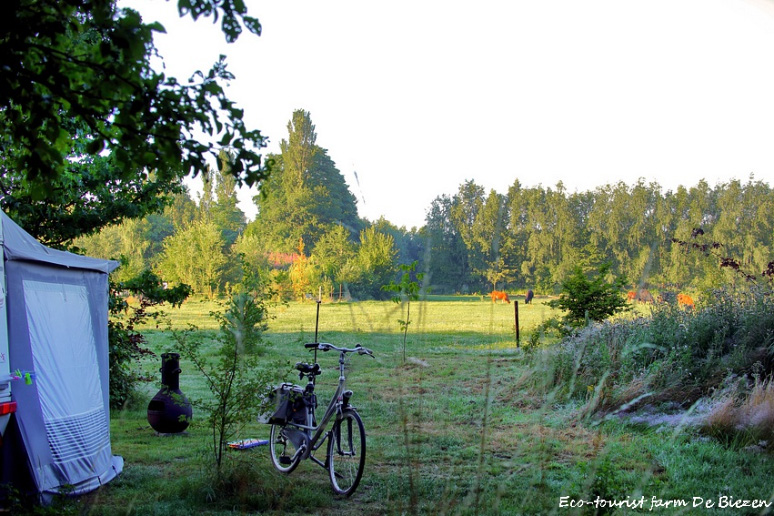 Bloemrijk natuurkampeerterrein eco-touristfarm de biezen aarle-rixtel