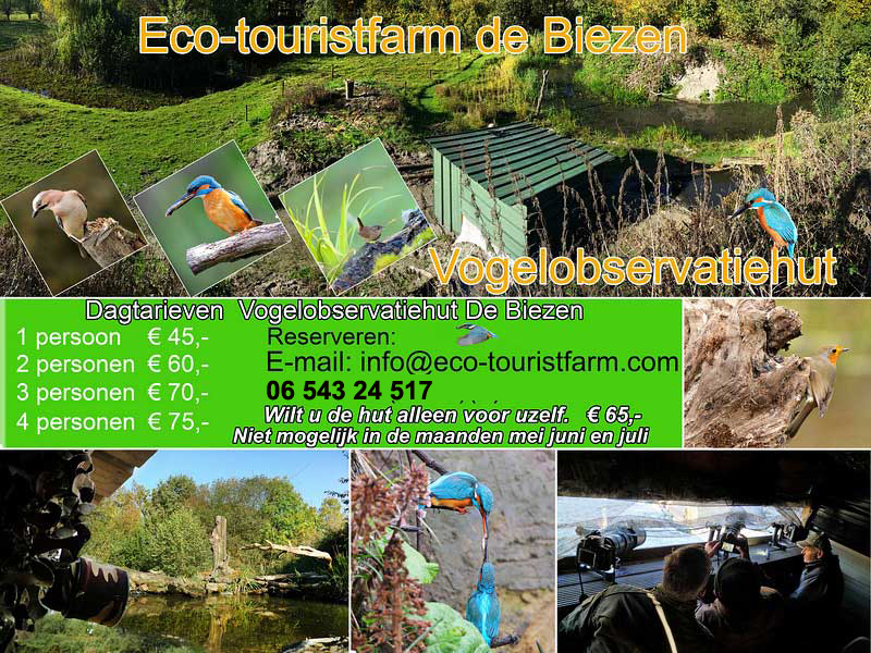 observatiehut natuur fotografie zomer en winter vogels observeren Eco-Touristfarm de Biezen