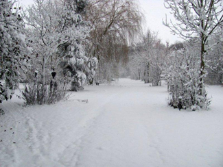 winterkamperen aarle-rixtel_eco-touristfarm_de biezen winter