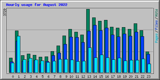 Hourly usage for August 2022